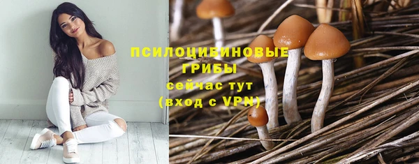 экстази Дмитровск